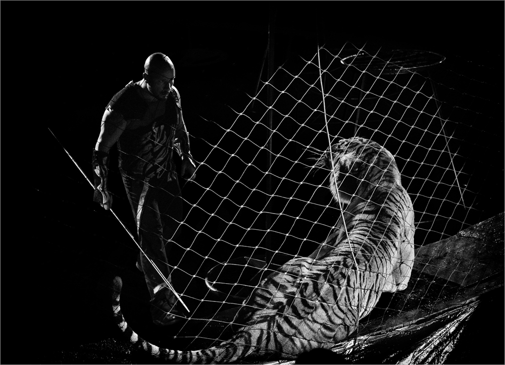 Дрессировщик