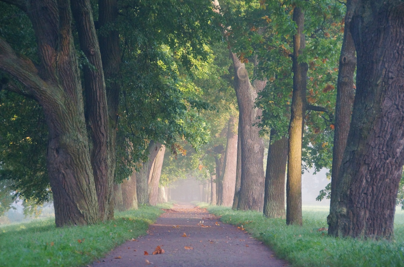 Сентябрьское утро...