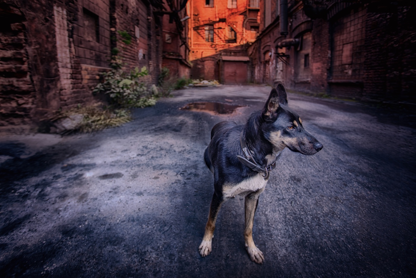 Ein zufälliges Treffen