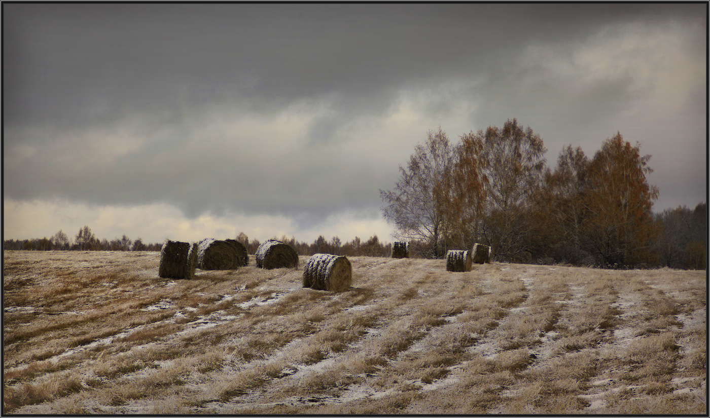 Без названия