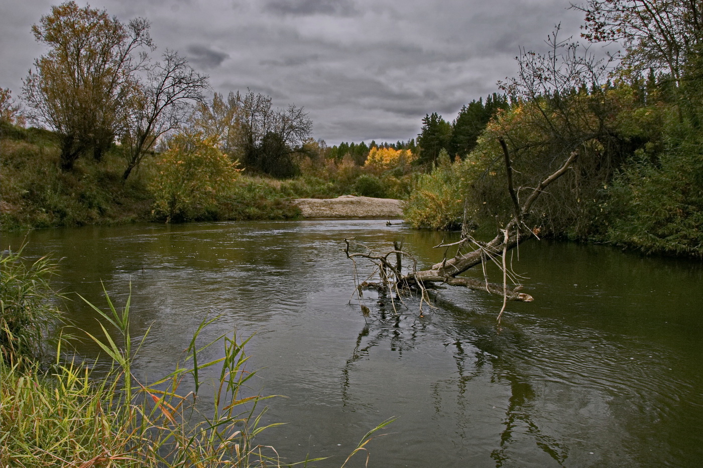 ПАСМУРНЫМ ДНЕМ