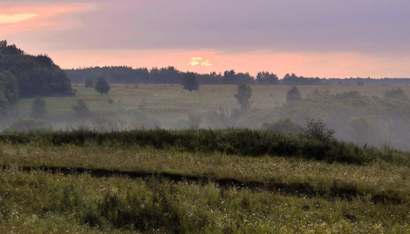 Туманное утро