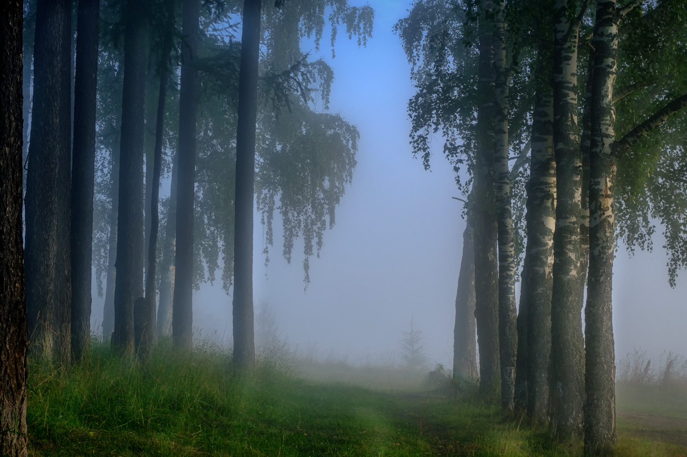 Туманная аллея