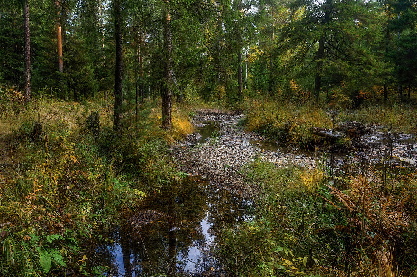 Осенняя зарисовка