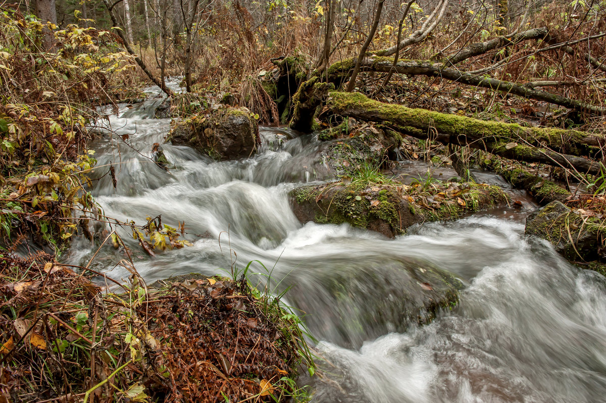 Осенний ручей