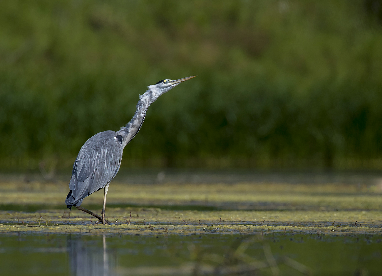 Бдительность.