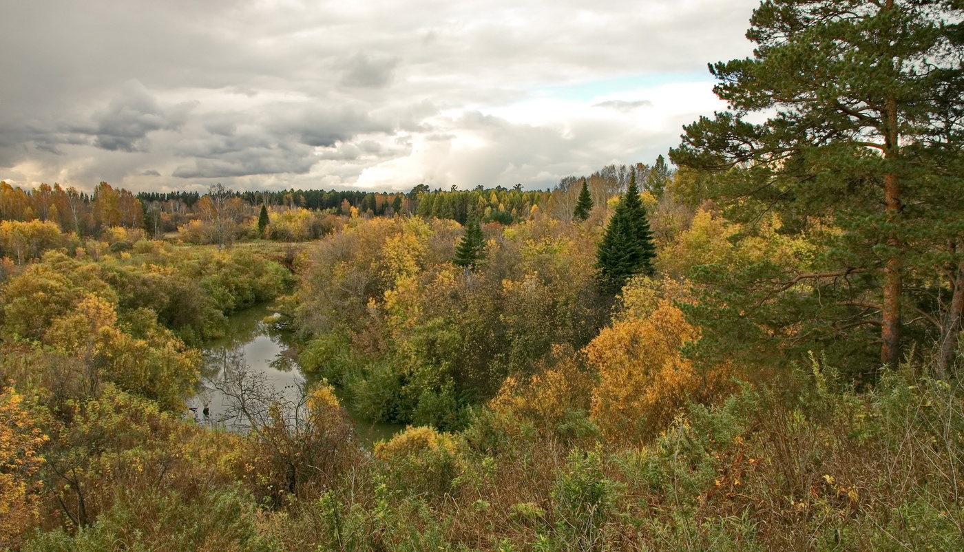 ОСЕННИЕ ПРОСТОРЫ