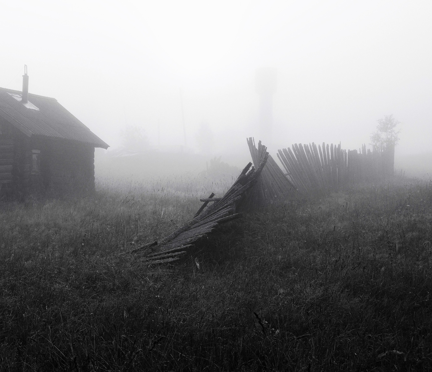 Черно-белое утро ...