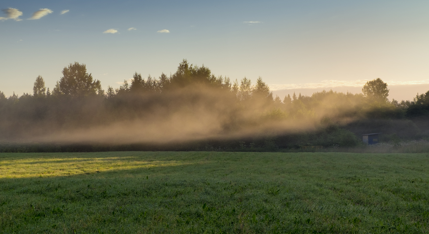 Под покровом тумана