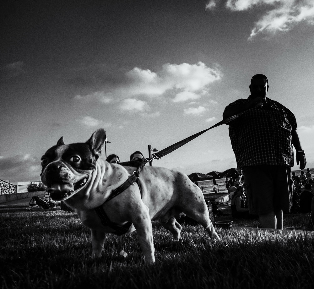 Особый взгляд