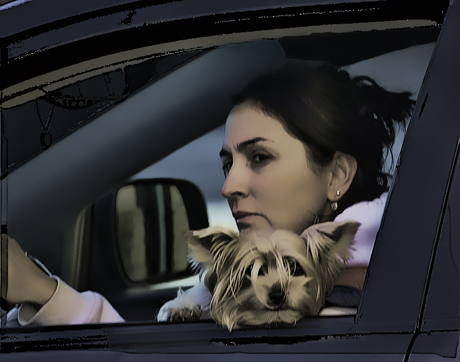 Особый взгляд