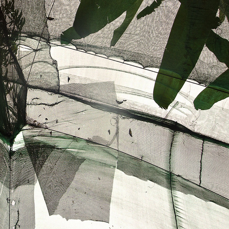 Особый взгляд