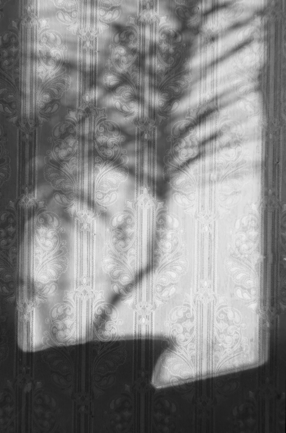 Особый взгляд