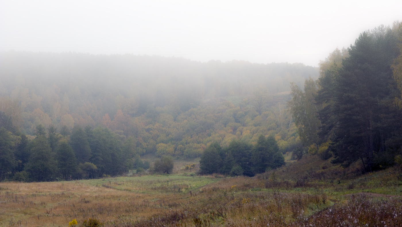 Осень уходящая в туман