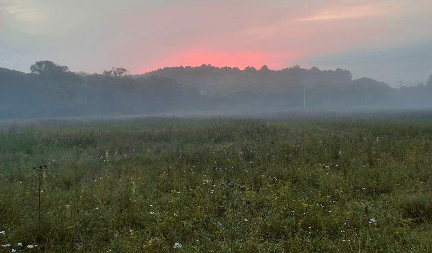 Багрянец утра туманного