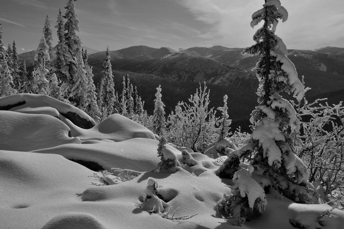 Первый снег!