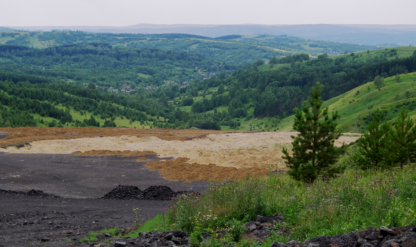 Сибирские просторы
