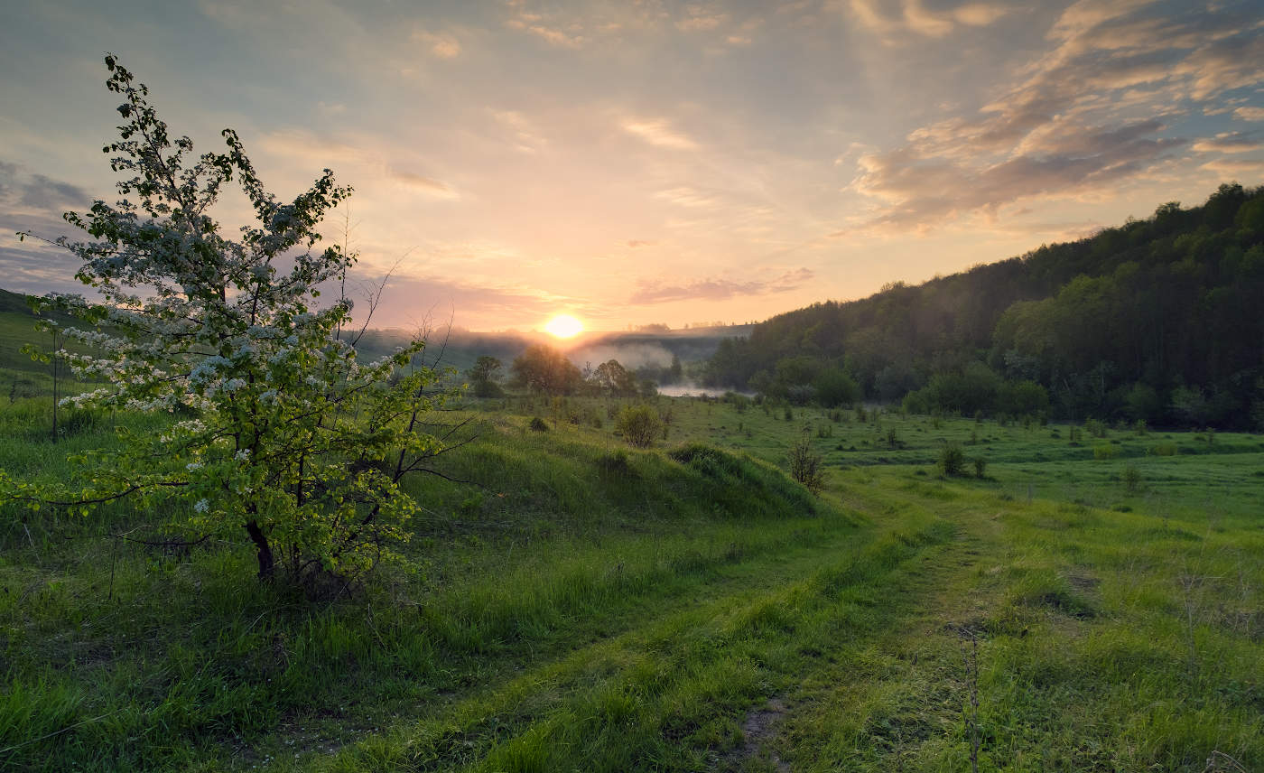 Под первыми лучами весеннего солнца