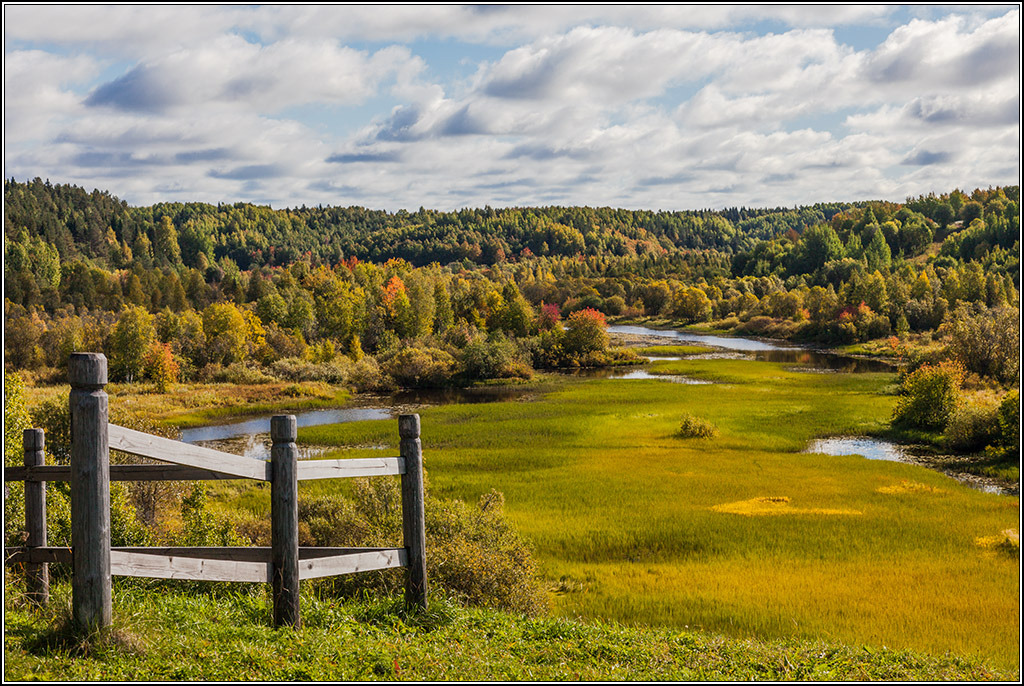 Золотится осень, золотится.