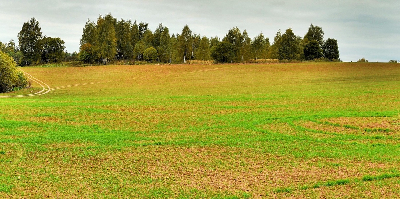 Осень - это маленькая жизнь ...