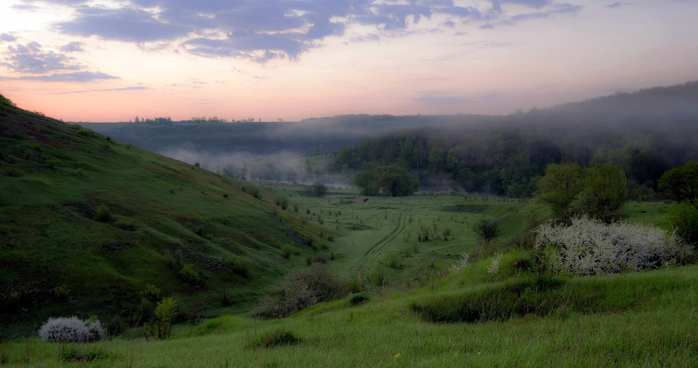 Нежность цветения и нежность тумана