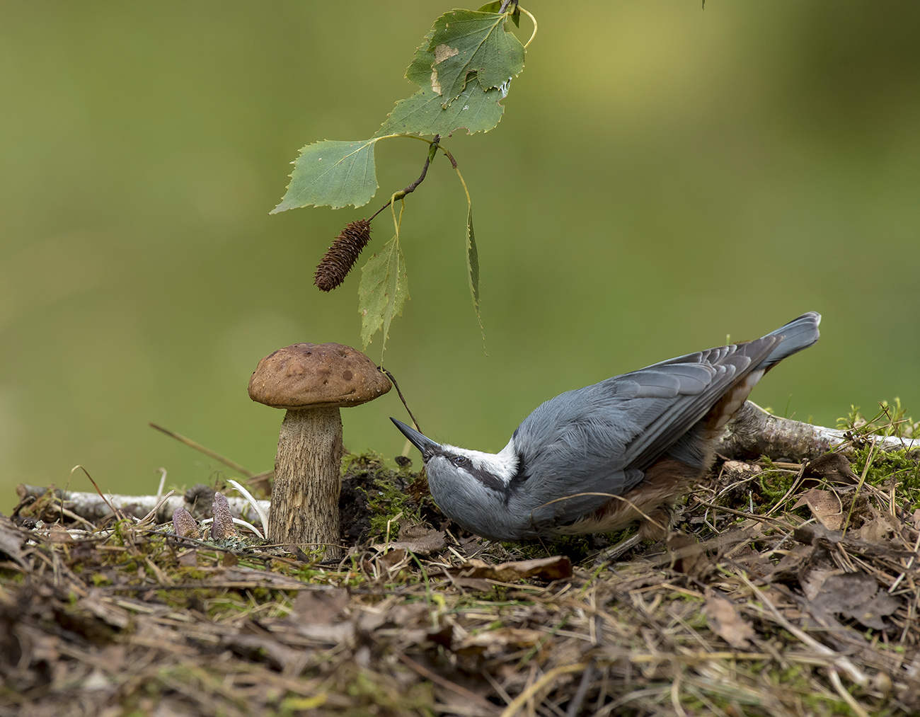 Кто не спрятался...