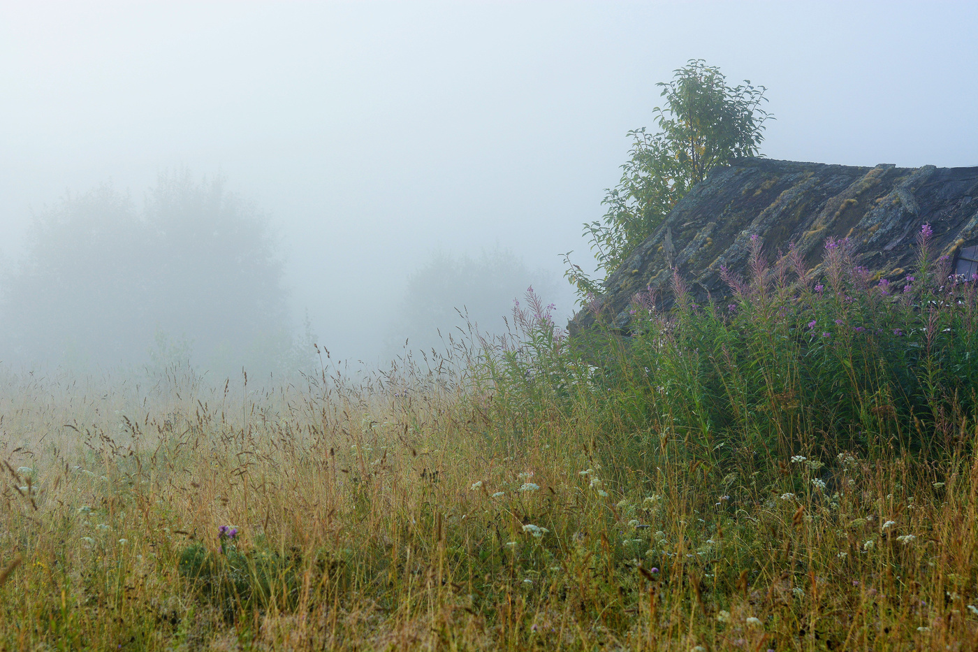 С утра туманило ...