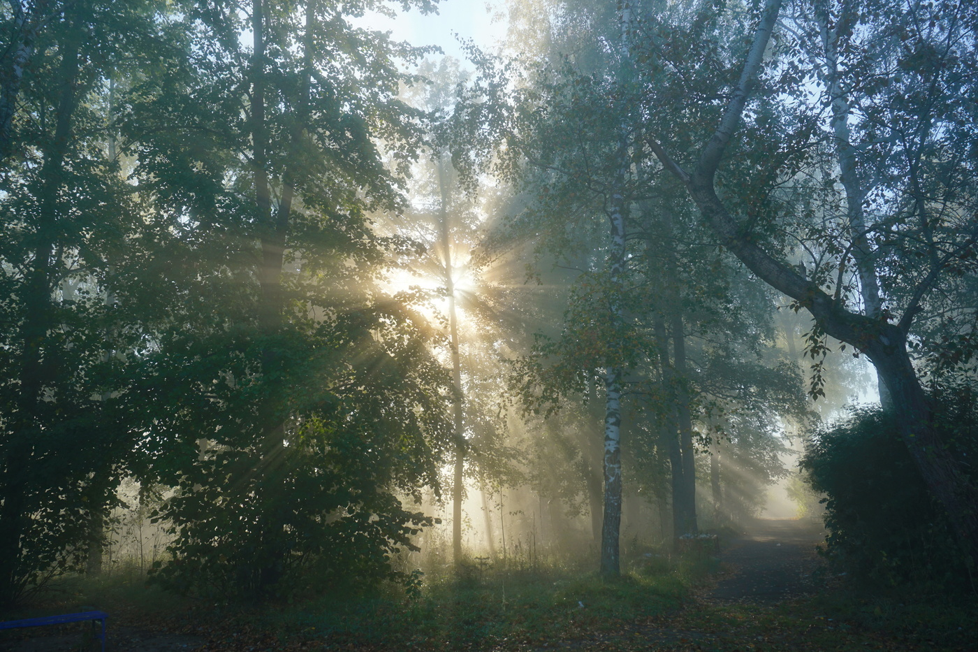 Утро нового дня.