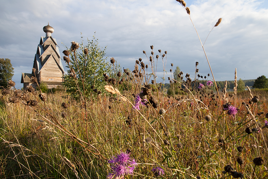 Ширков погост