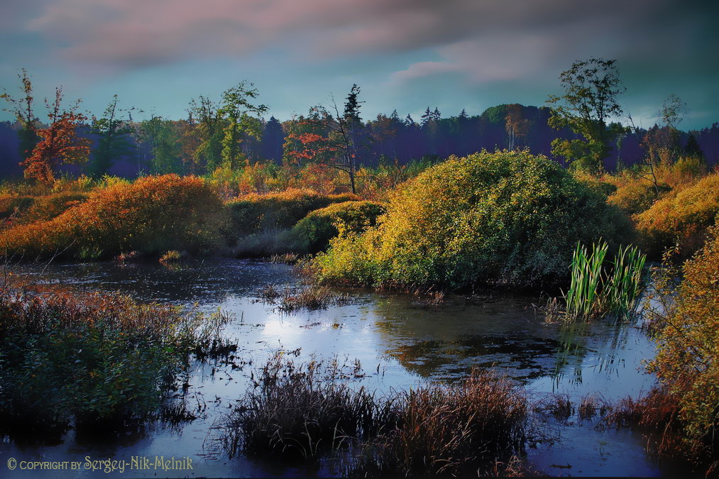 Легкие европы на закате