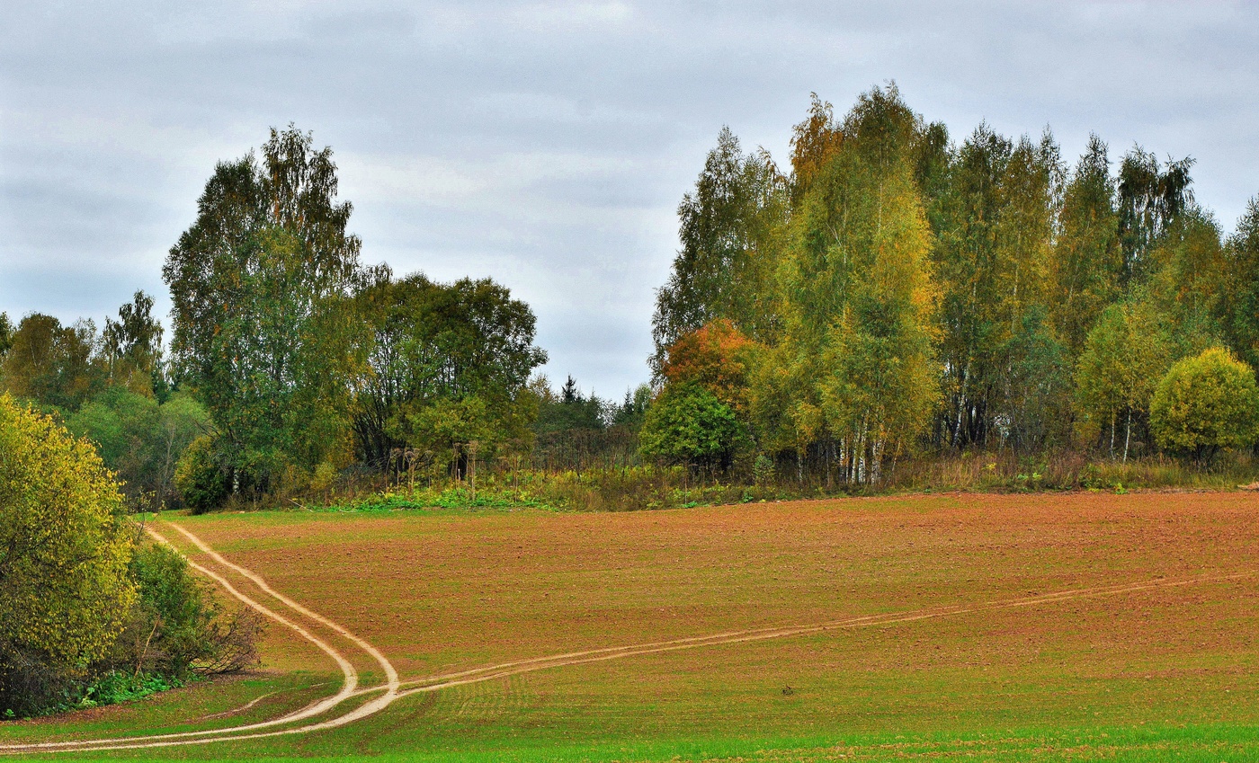 Все дороги ведут в осень ...