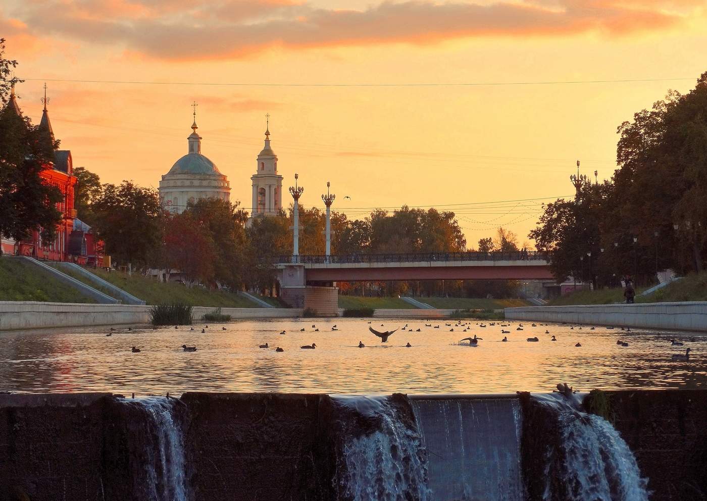 Вечерний моцион уток