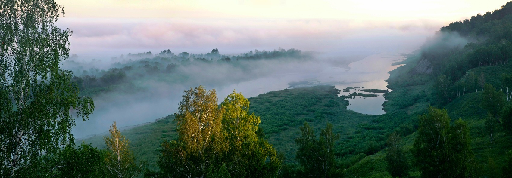 Без названия