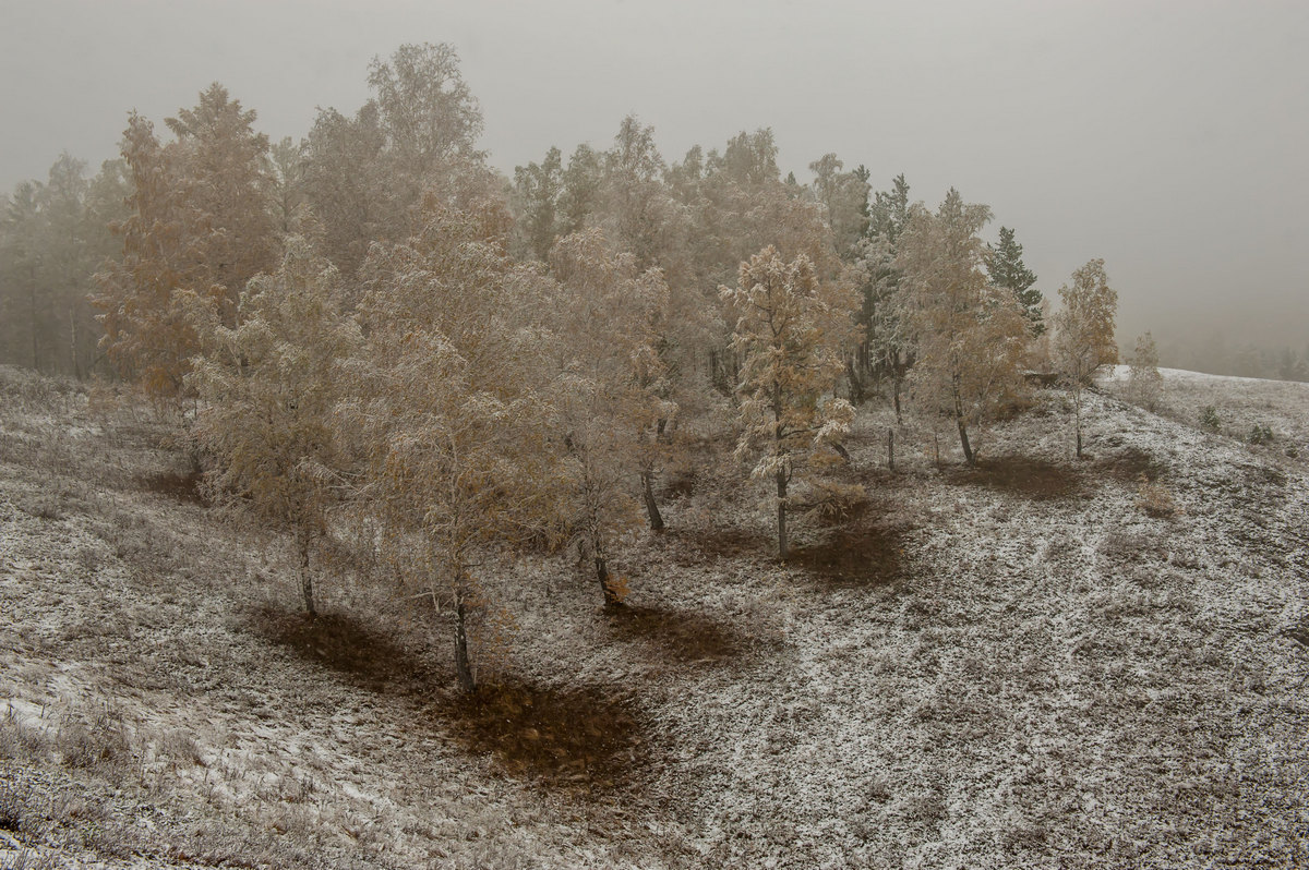 На склоне с осенью