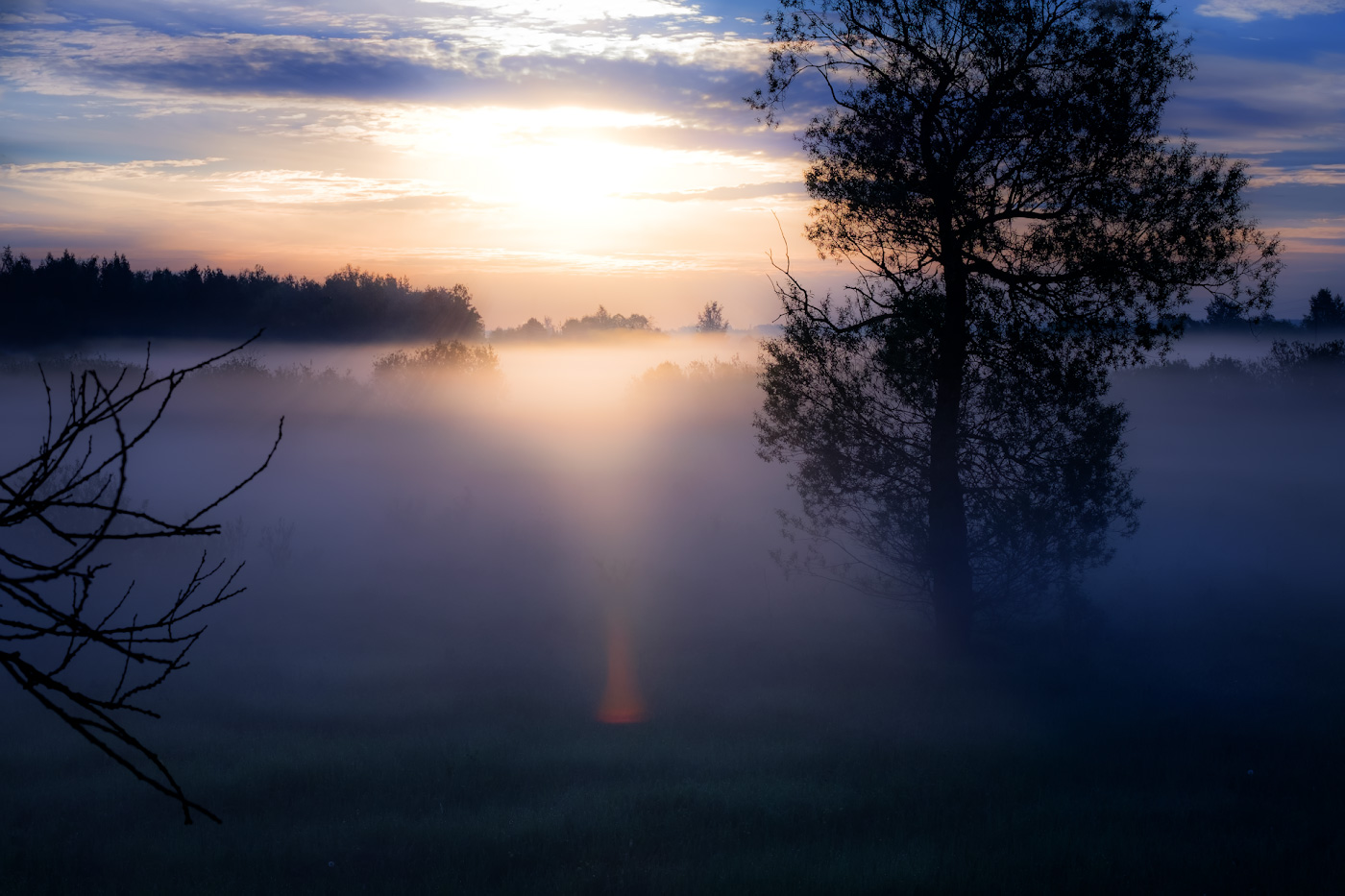 Туманный рассвет