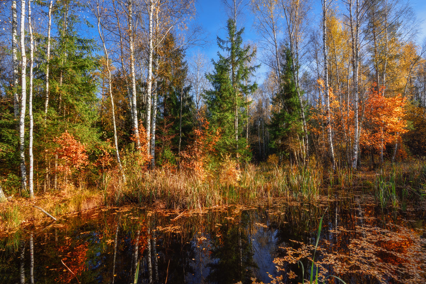 осенние краски