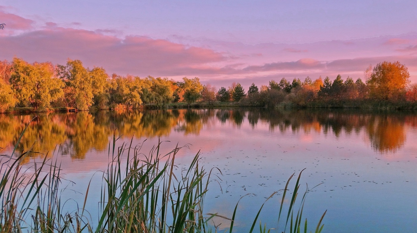 Осень постучалась в двери
