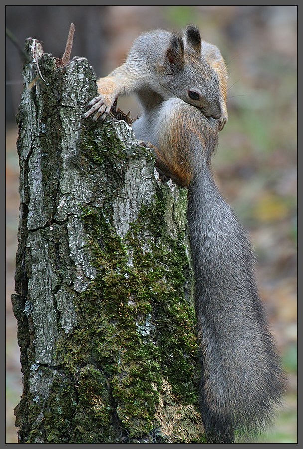 Осень постучалась в двери