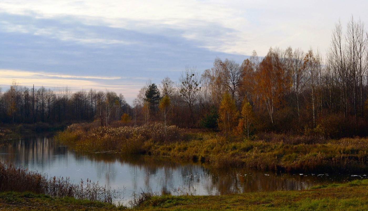 Осень постучалась в двери
