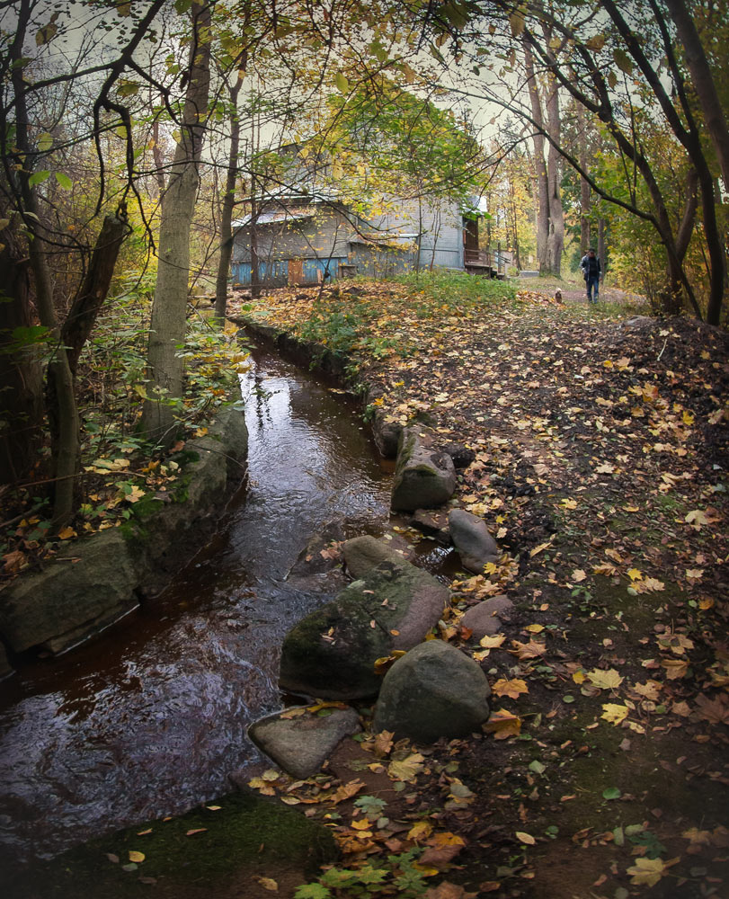 Осень постучалась в двери