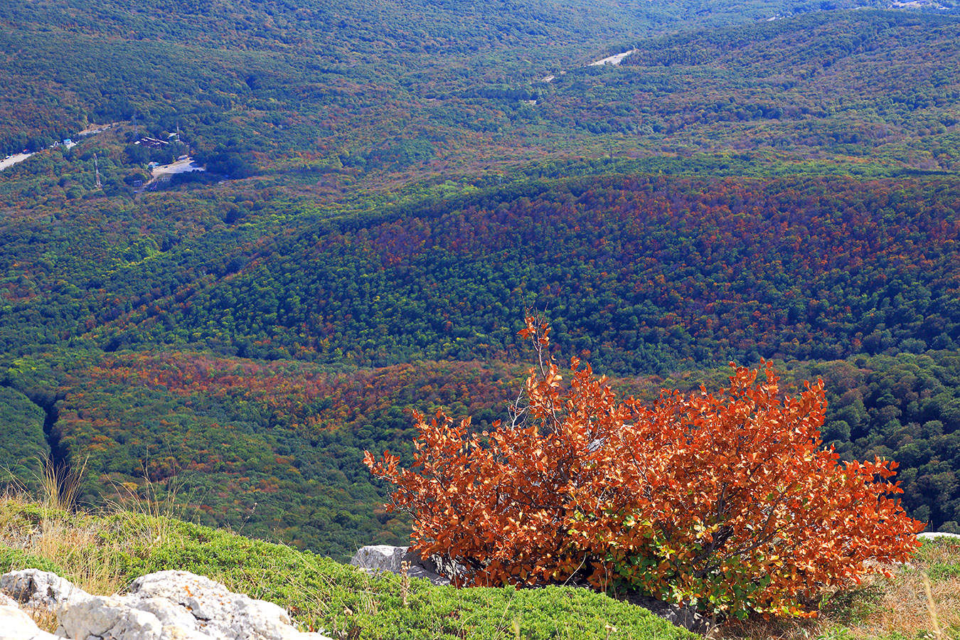 Осень постучалась в двери