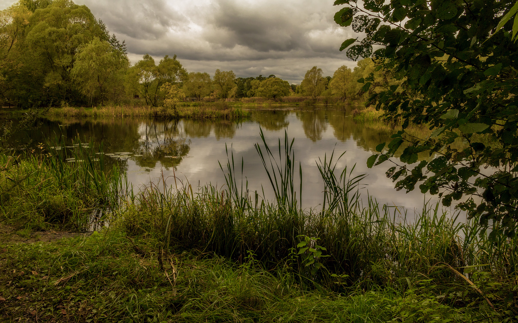 Осень постучалась в двери