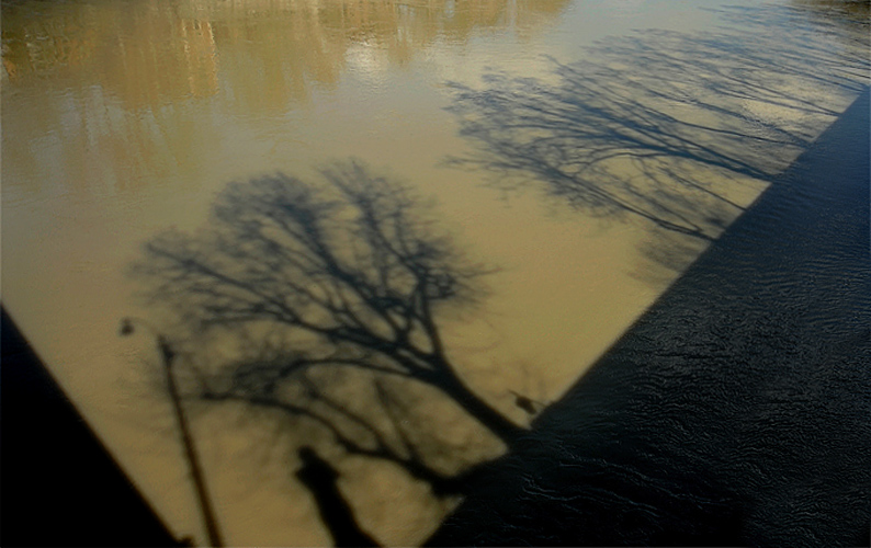 Осень постучалась в дверь