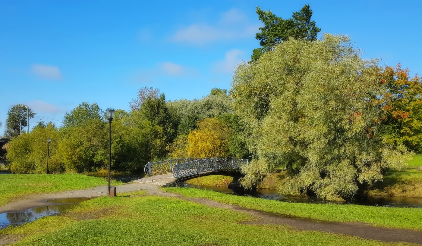 Осень постучалась в двери