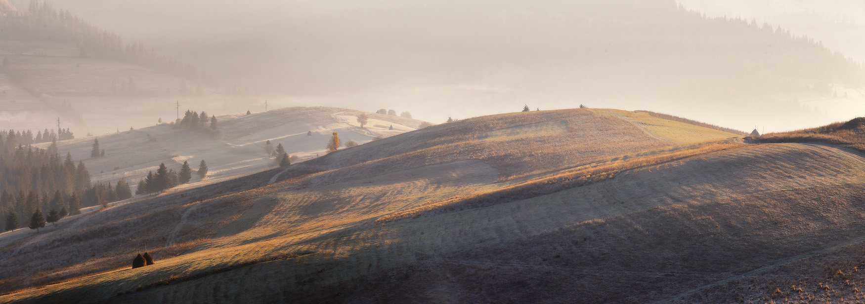 Осень постучалась в двери