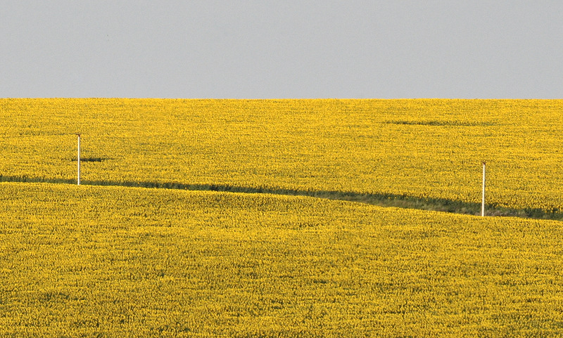 Осень постучалась в двери