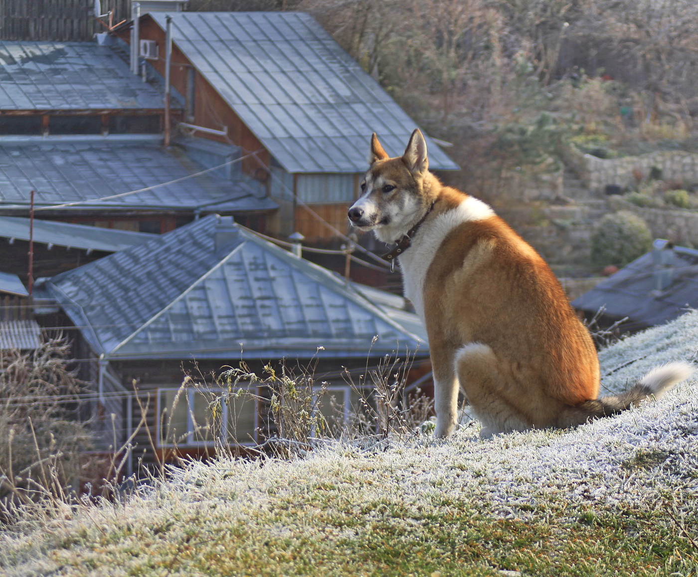 Осень постучалась в двери