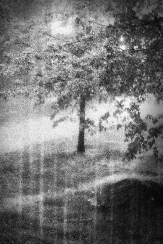 Осень постучалась в двери