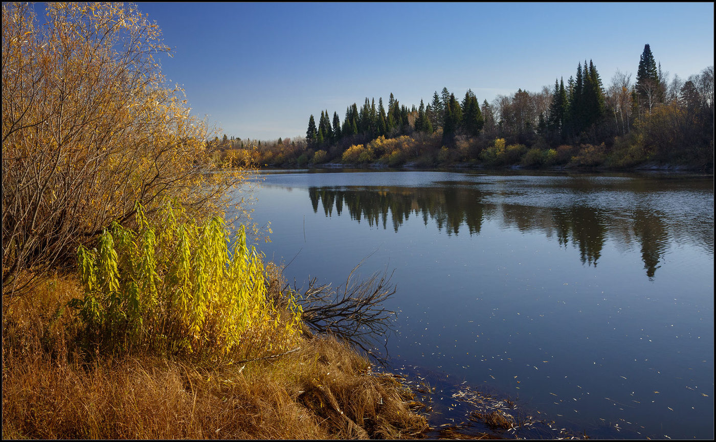 Без названия