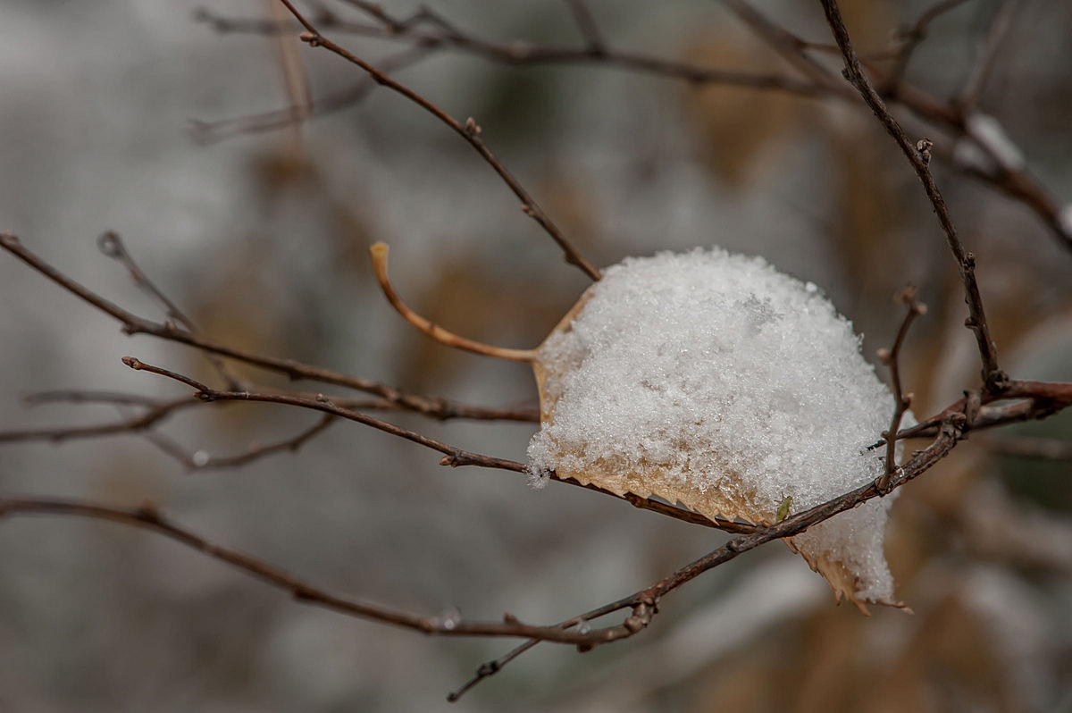Про осень...